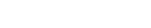 cortex